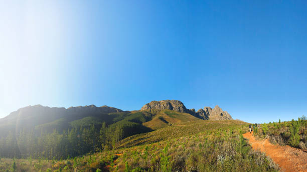 Rear view panorama Hikers with backpacks hiking uphill to mountain peak Stellenbosch Cape Town South Africa