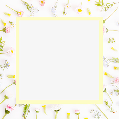 Festive yellow pink flowers frame, composition on white background. Overhead top view, flat lay, square. Copy space. Birthday, Mother's, Valentines, Women's, Wedding Day concept