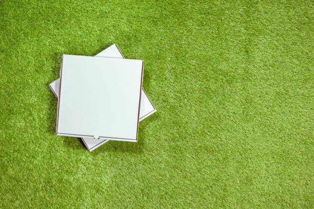 istock Two white box of pizza on the grass. Discount or summer promotion concept. Second pizza for free.Top view. Copy space 1164879018