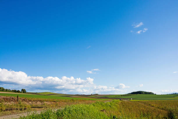 istock Upland farming area in Hokkaido 1164881225