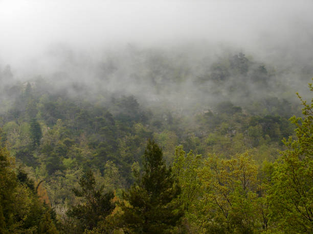 istock Beautiful Nature in north Lebanon 1164881522