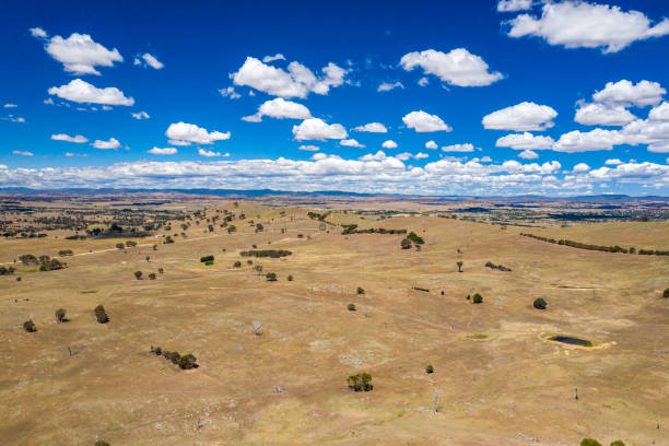 Country NSW Drought Dry Country NSW farmland with blue sky and clouds farmer-drought-australia stock pictures, royalty-free photos & images