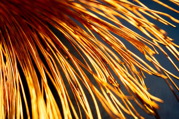 istock bright copper part of the wire with highlights close-up, abstraction 1164883111
