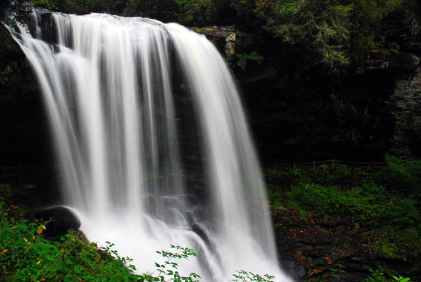 безмятежные водопады в пышном лесу - blue ridge mountains stream forest waterfall стоковые фото и изображения