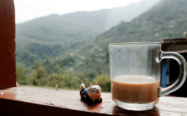 istock Cat Model and Hot Milk Tea Style Nepal Against Mountain View 1164884216