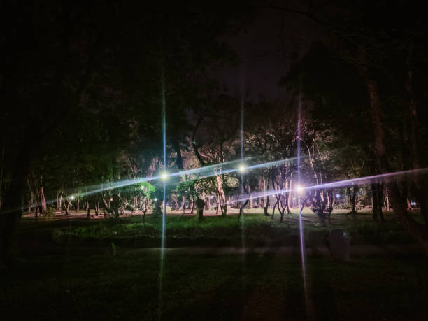 istock Blurry light in the park at night in the park 1164884556