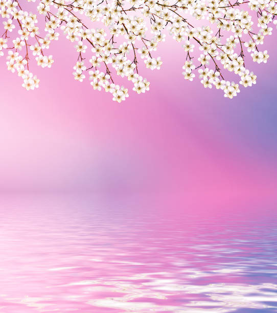 istock bouquet of spring flowers. 1164887972