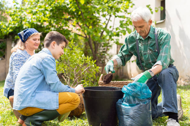 istock Grandson teaching gardening from his grandparents 1164889685