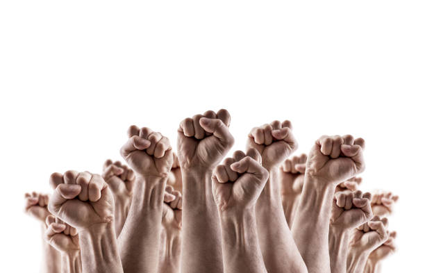 Large group of raised hands showing fists isolated on white background