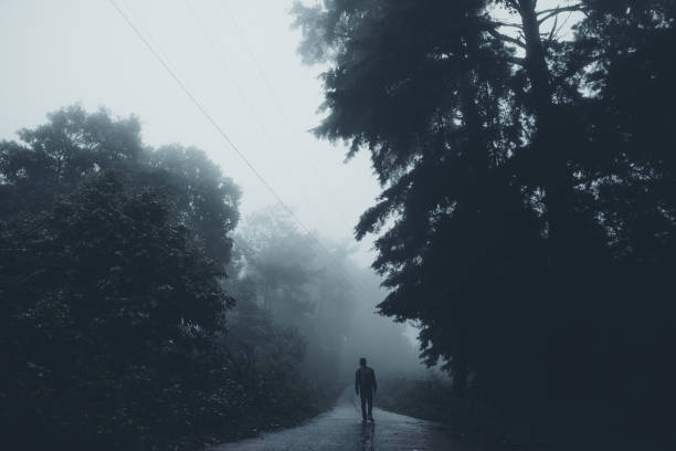 istock In the mist and rain forest, darkness 1164892848