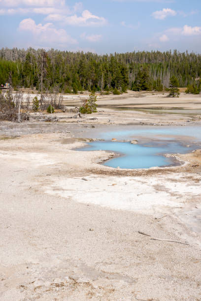 istock norris geyser back basin in in Yellowstone National Park 1164893169