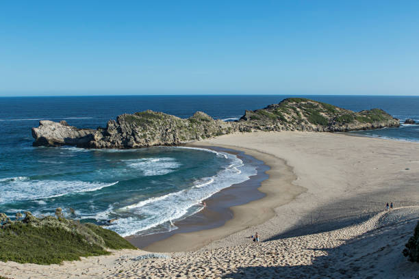 istock beautiful beach in south africa 1164893883