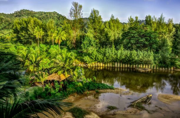 HDR shot during Golden Hour of the river with green mountains as background