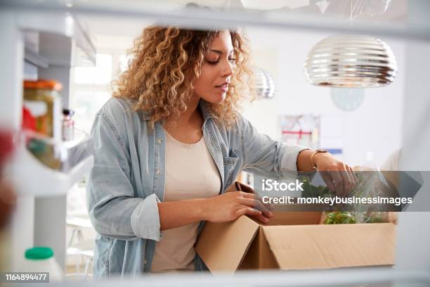 女性がオンラインホームフード配達を解凍するように冷蔵庫の中から外を見る - 配達のストックフォトや画像を多数ご用意 - 配達, 食料品, 食べ物