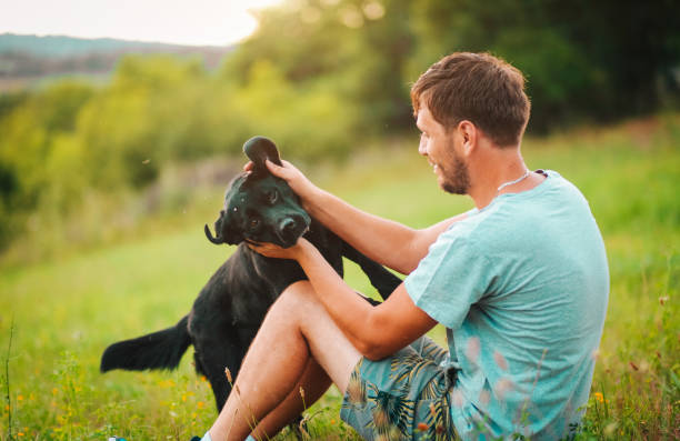 istock Guy and his dog having a fun in the nature 1164896667