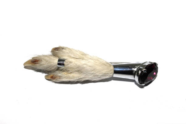 A Jeweled Lucky Rabbit Brooch on White Background