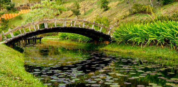 istock Arched wooden bridge over small lake. 1164897238