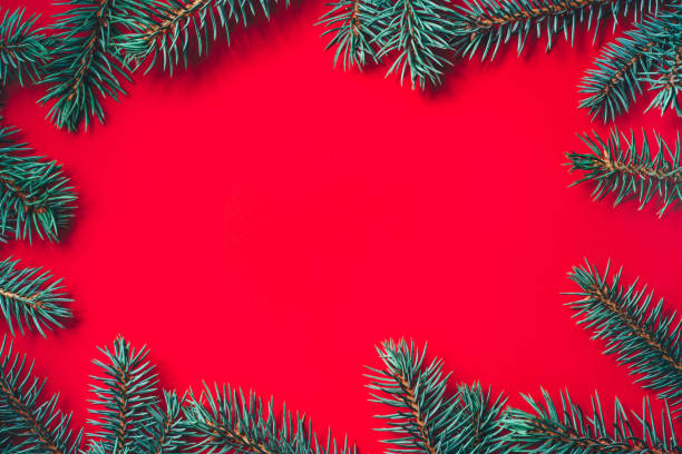 istock Fir branches on red background. Christmas wallpaper. 1164898180