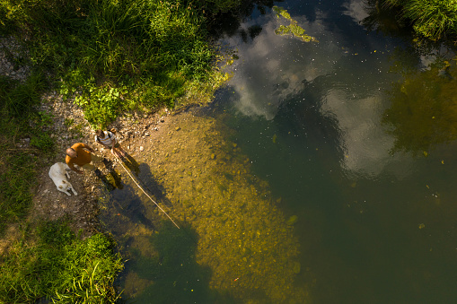 Drone point view of teenage boy and his dad fishing on the river in nature, having fun, dog is near them