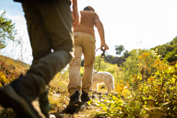 istock Their dog is the leader on hiking 1164898895