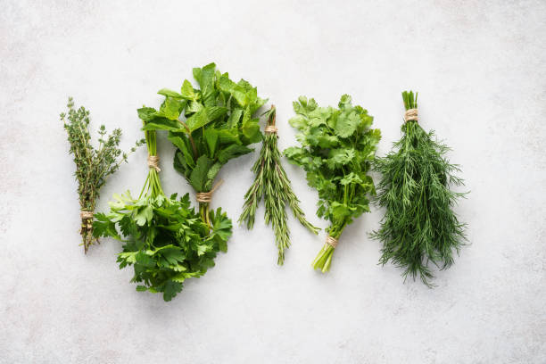 istock Different fresh herbs on gray background. Healthy ingredients. 1164899904