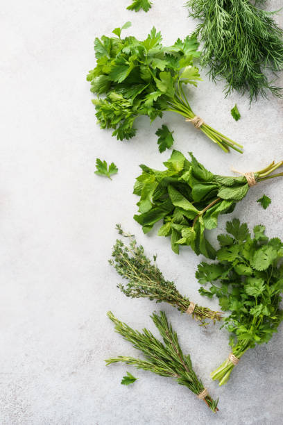 istock Fresh herbs on gray background. Various ingredients for cooking. 1164899952