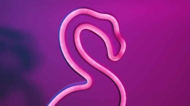 zoom out from of flamingo neon light lamp at pink blue background color