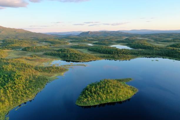 istock Lakes and forests at the golden hour 1164908844
