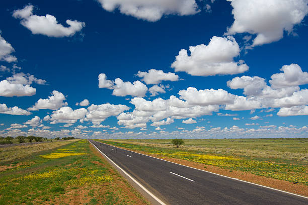 istock Open road across plains with yellow daisies Queensland Australia 116490930