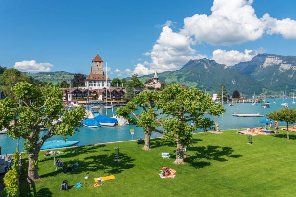 vista sulla piscina all'aperto fino al castello spiez di spiez - switzerland lake thun people spiez foto e immagini stock