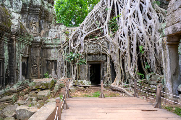 istock Ta Prohm temple at Angkor Wat, Cambodia 1164909602
