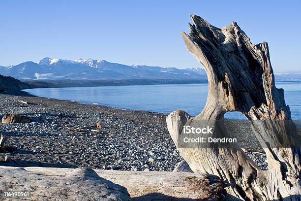 Pustynia Beach - zdjęcia stockowe i więcej obrazów Strait of Juan De Fuca - Strait of Juan De Fuca, Bez ludzi, Biały