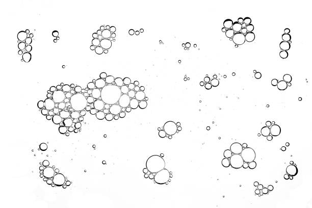 istock Group foam bubble from soap or shampoo isolated on white background on top view photo object design 1164911292