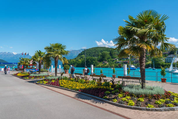 passeggiata sul lago a spiez - switzerland lake thun people spiez foto e immagini stock