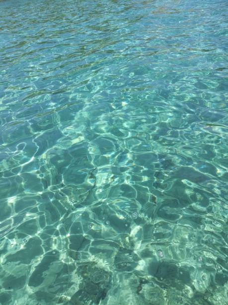 Surface of the turquoise sea water