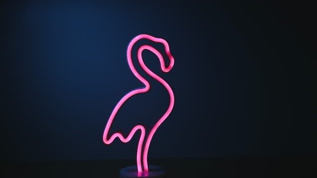 flashing light with flamingo neon light lamp in dark blue background