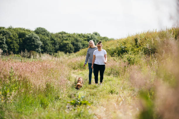 istock Carefree Summer Dog Walking 1164915613
