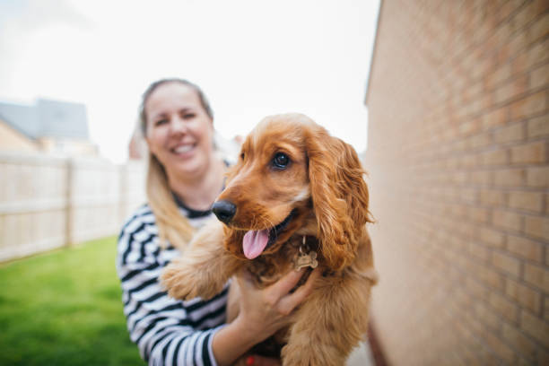 istock Look at My Puppy! 1164916724