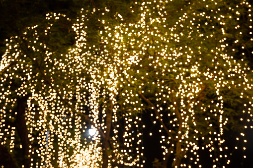 Blur - bokeh Decorative outdoor string lights hanging on tree in the garden at night time - decorative christmas lights - happy new year
