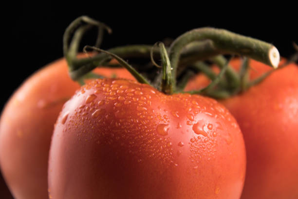 istock fresh red tomato 1164917369