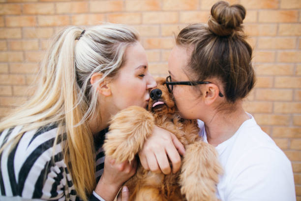 A front-view shot of two caucasian women holding their cute cocker spaniel puppy, they are kissing his face.