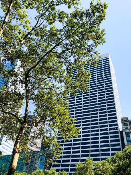 istock New York Skyscrapers with Greenery 1164926033