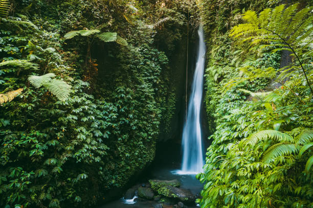 istock Beautiful waterfall with tropical plants in Bali, Indonesia 1164926155
