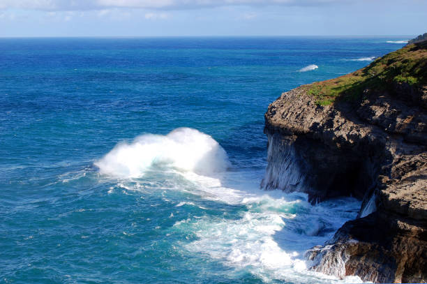 istock Crashing Waves at Kilauea Point on Kauai 1164927981