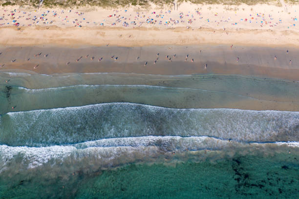 istock ocean waves, sandy beach with people bathing in the water, view from drone, Lanzada beach, Galicia, Spain 1164929943