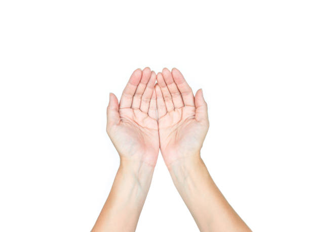 istock Hand holding on isolated white background. 1164930327