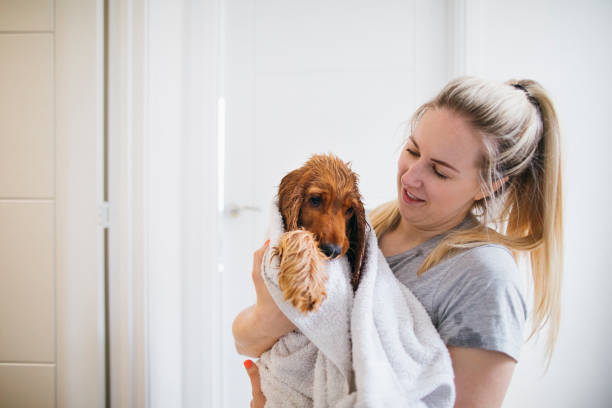 istock He Loves to get Washed! 1164932429