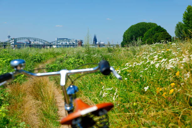 istock With the Bicycle into the Poller meadows, Cologne, Germany 1164934877