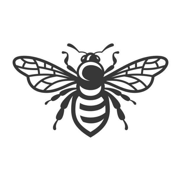 ilustraciones, imágenes clip art, dibujos animados e iconos de stock de icono de abeja. logotipo de error sobre fondo blanco. vector - abeja