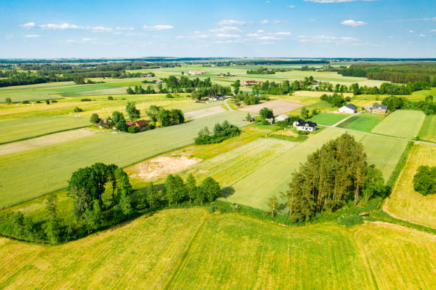 istock Lush green Polish countryside 1164938916